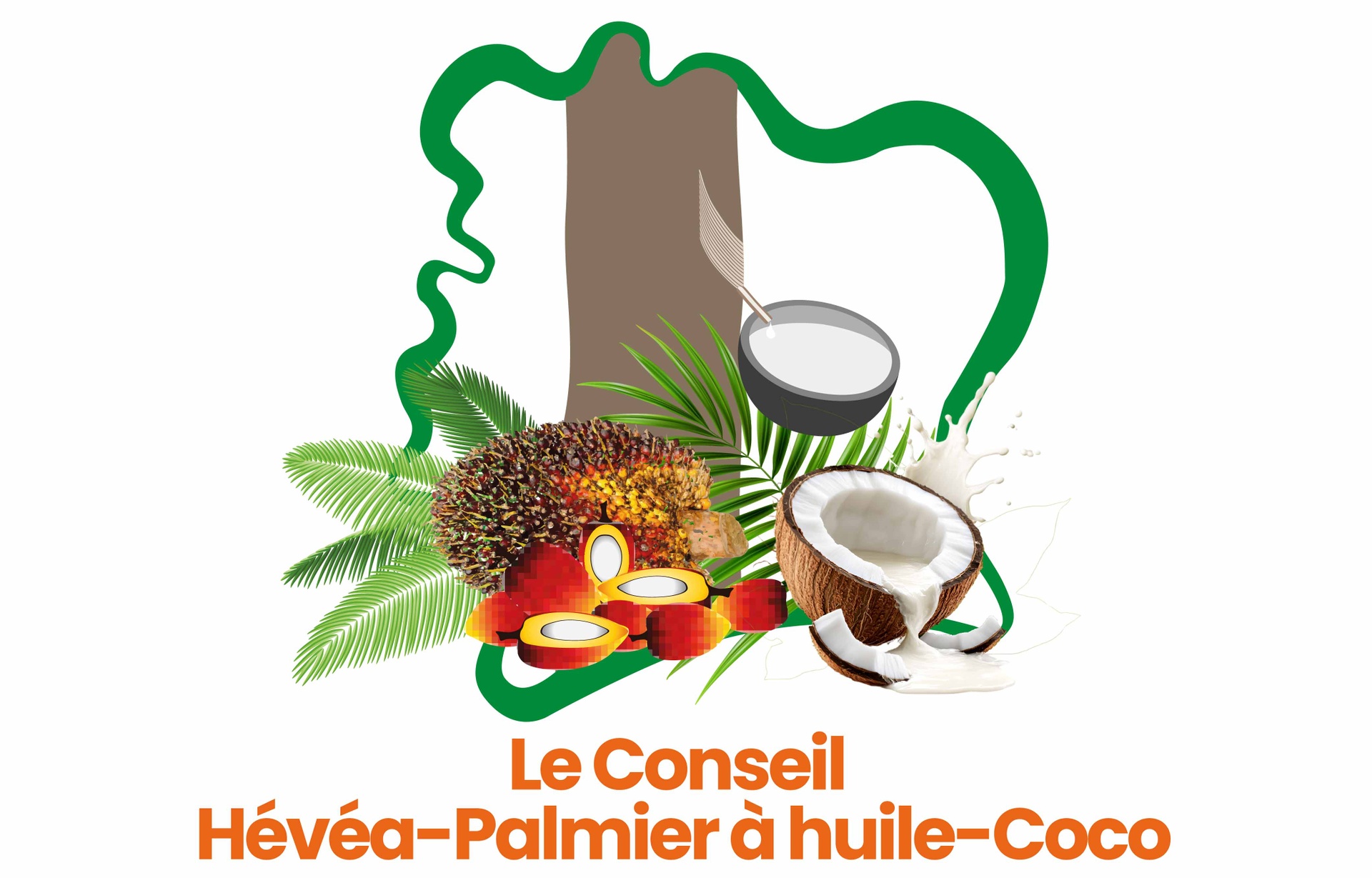 PROGRAMME INTERIMAIRE CHPC